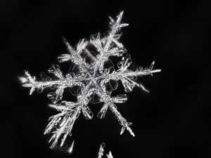 Preview wallpaper snowflakes, macro, ice, pattern, crystal