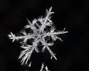 Preview wallpaper snowflakes, macro, ice, pattern, crystal