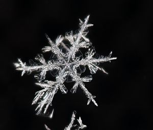 Preview wallpaper snowflakes, macro, ice, pattern, crystal