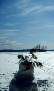 Preview wallpaper snowman, field, traces, trees