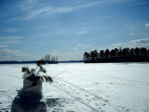 Preview wallpaper snowman, field, traces, trees