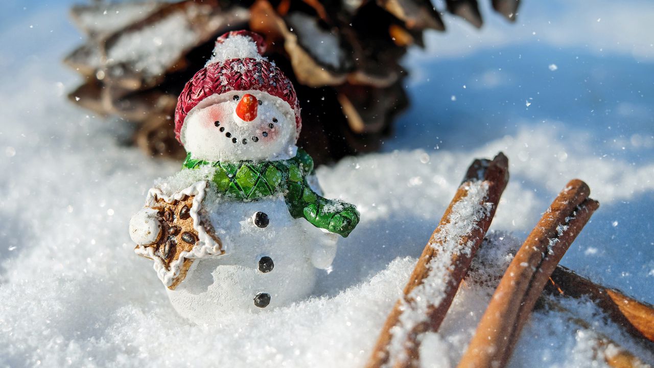 Wallpaper snowman, snow, cinnamon, pine cone, christmas, new year