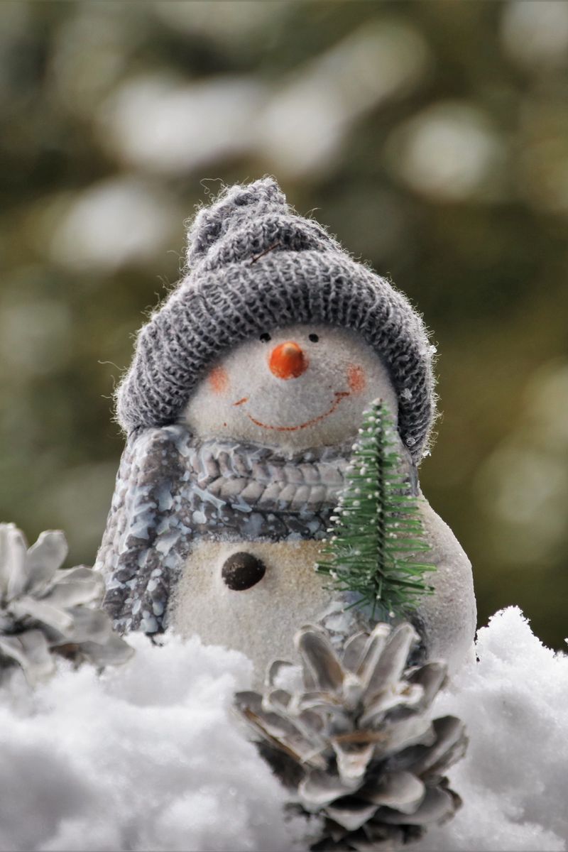 Cute Two Snowman Wallpaper In Christmas Picspapercom Cute Snowman Wallpaper  Wallpapers For Mobile Hd Tumblr Iphone With Quotes Facebook Android Desktop  Of Dolls Cute  फट शयर