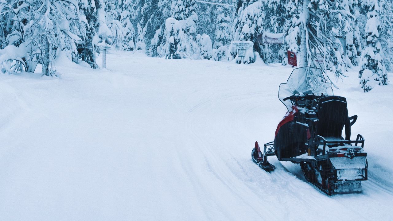 Wallpaper snowmobile, snow, trees, winter, nature