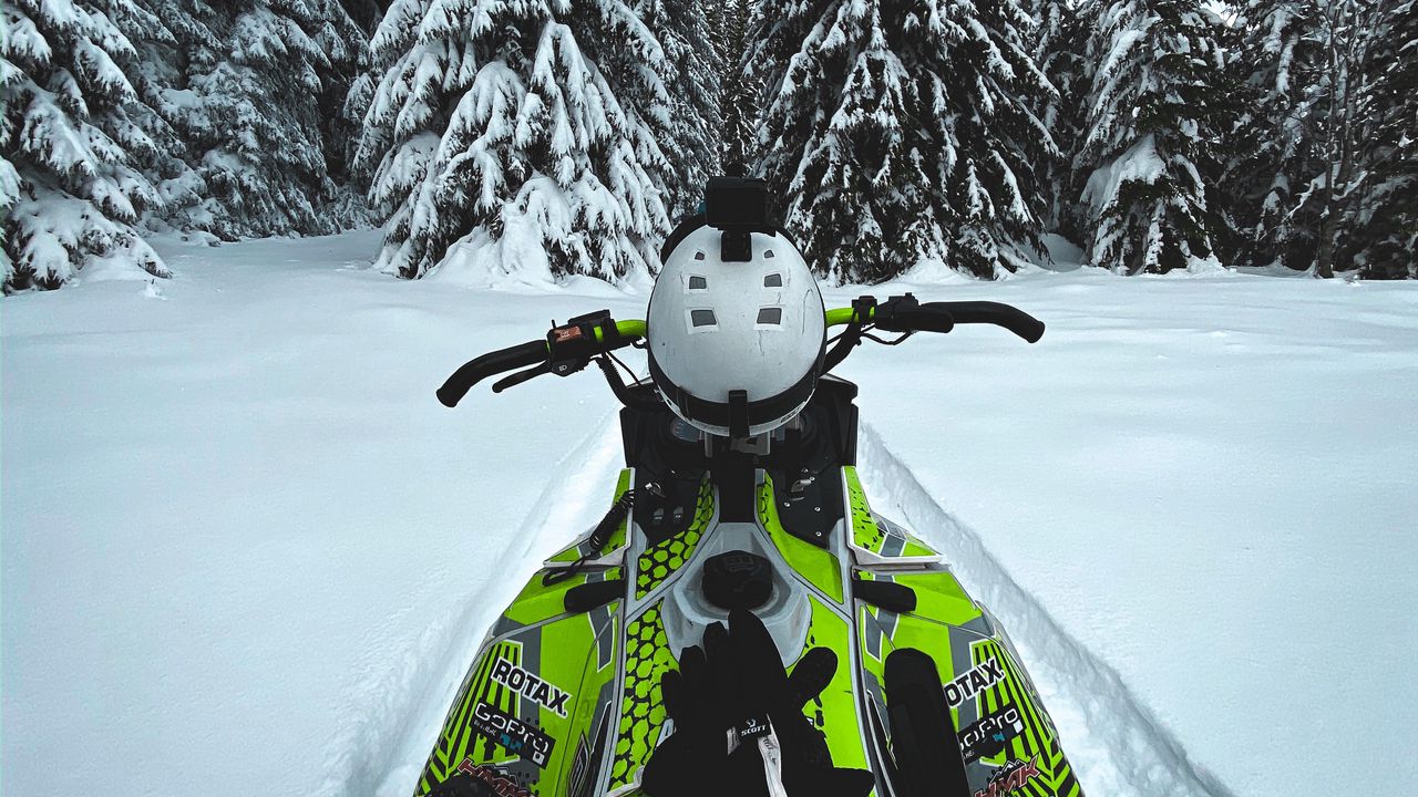 Wallpaper snowmobile, snow, trees, winter