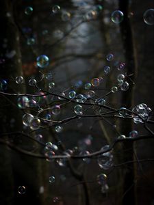 Preview wallpaper soap bubbles, bubbles, branches, trees