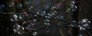 Preview wallpaper soap bubbles, bubbles, branches, trees