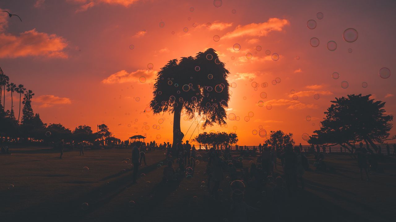 Wallpaper soap bubbles, sunset, trees, people