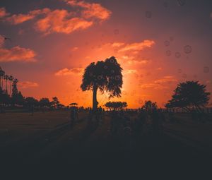 Preview wallpaper soap bubbles, sunset, trees, people