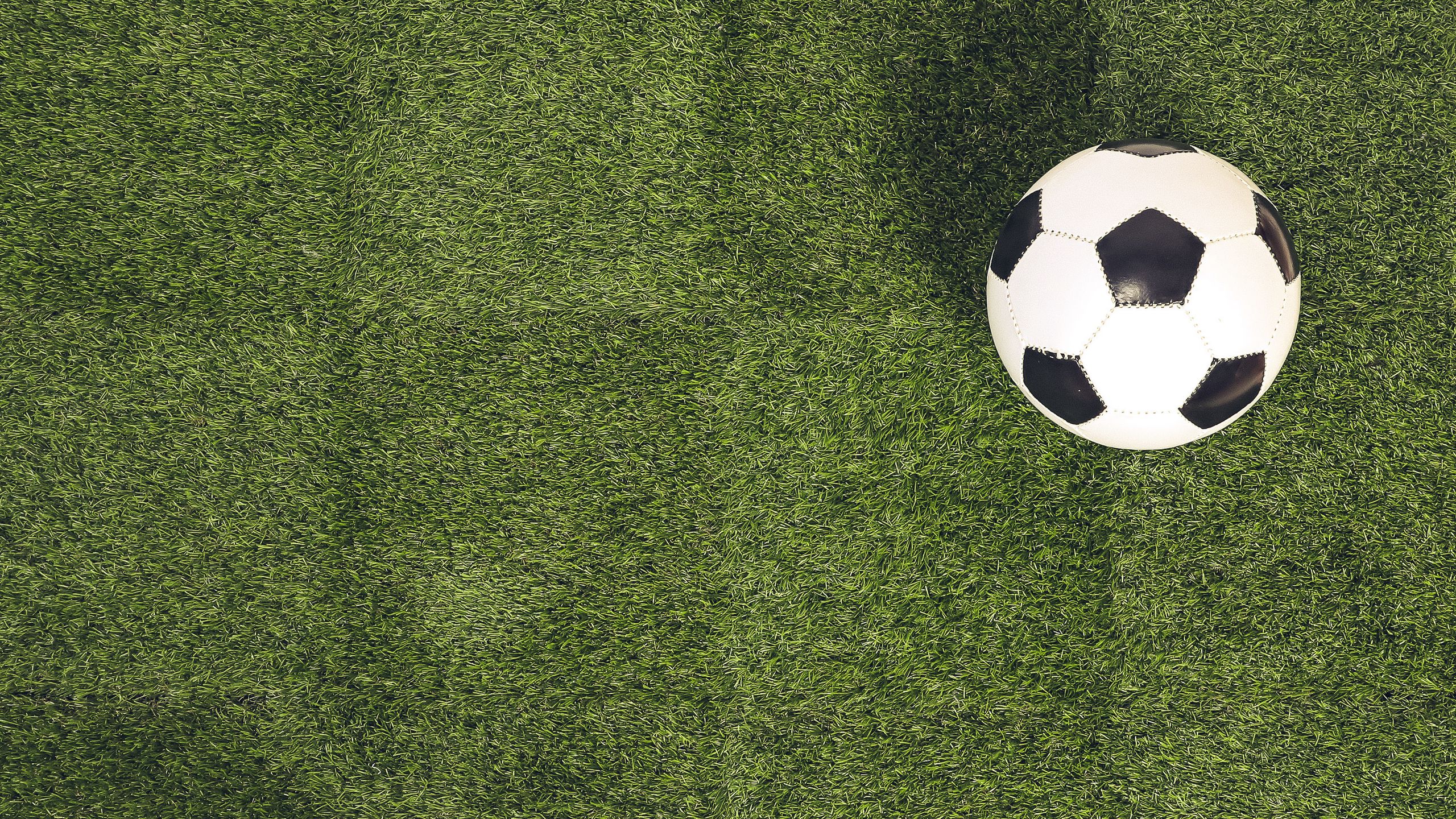 2560x1440 Wallpaper soccer ball, field, football, sport