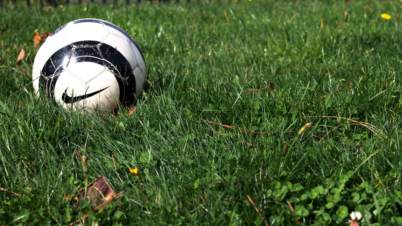 Wallpaper soccer ball, nike, grass