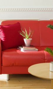Preview wallpaper sofa, cushion, furniture, flower