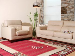 Preview wallpaper sofa, flowers, carpets, interior