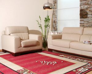 Preview wallpaper sofa, flowers, carpets, interior