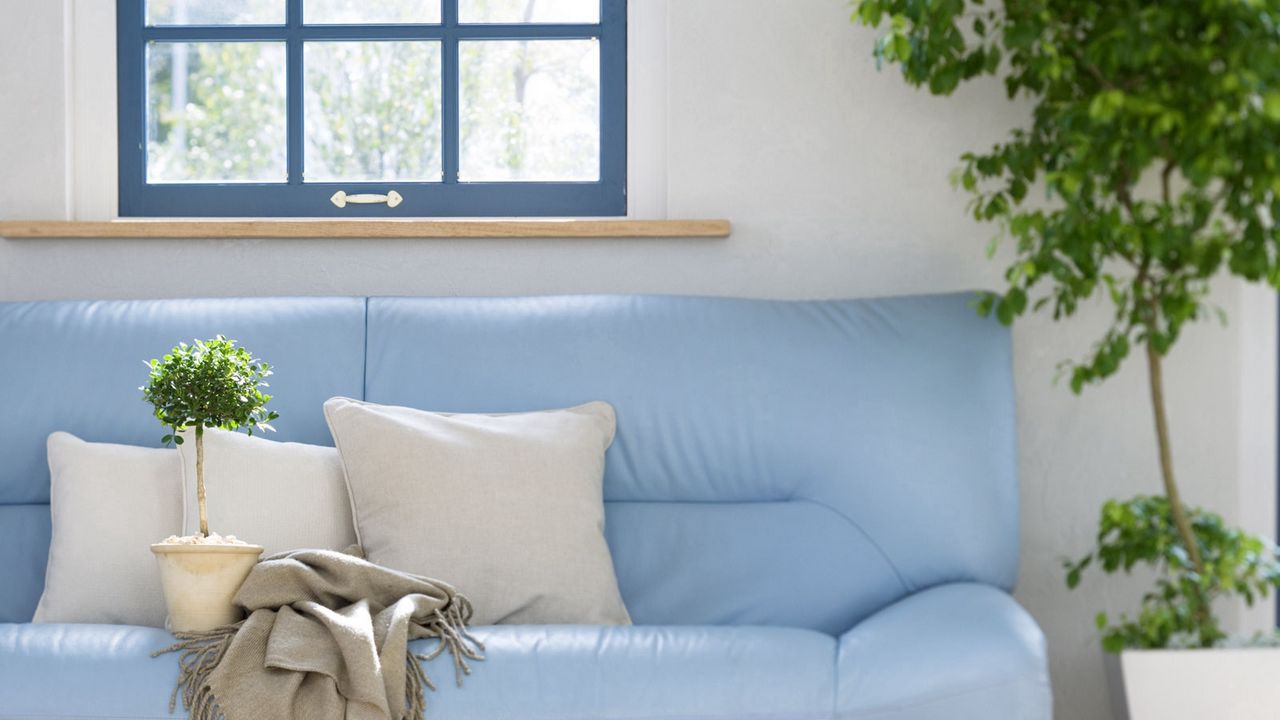 Wallpaper sofa, pillows, flower, box, blanket