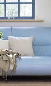 Preview wallpaper sofa, pillows, flower, box, blanket