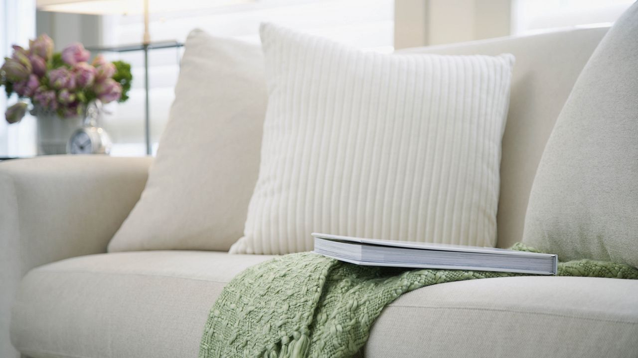 Wallpaper sofa, pillows, living room
