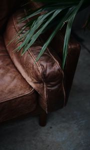 Preview wallpaper sofa, plant, leaves