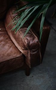 Preview wallpaper sofa, plant, leaves