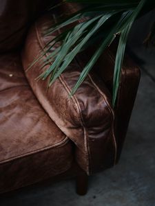 Preview wallpaper sofa, plant, leaves