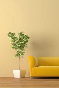 Preview wallpaper sofa, tub, plant