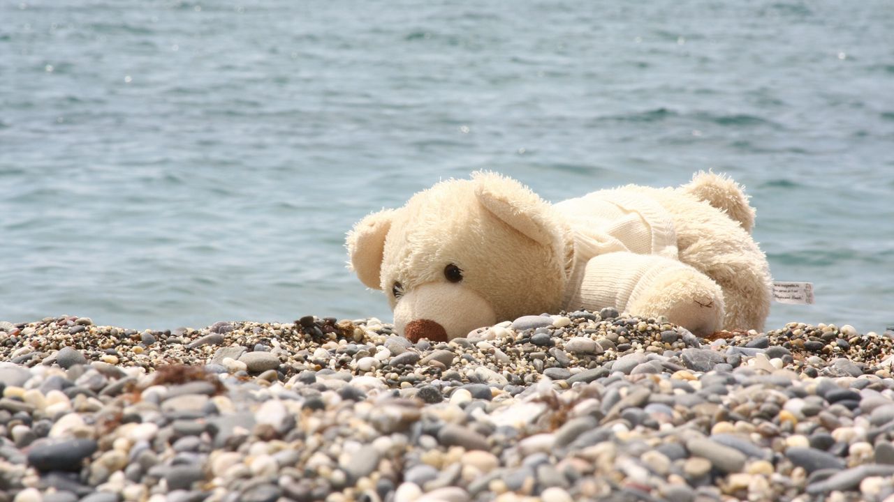 Wallpaper soft toy, bear, beach, rocks, sea