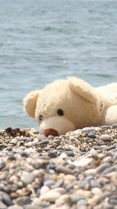 Preview wallpaper soft toy, bear, beach, rocks, sea