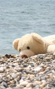 Preview wallpaper soft toy, bear, beach, rocks, sea