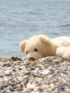 Preview wallpaper soft toy, bear, beach, rocks, sea