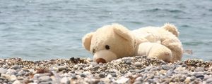 Preview wallpaper soft toy, bear, beach, rocks, sea