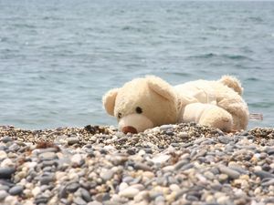 Preview wallpaper soft toy, bear, beach, rocks, sea