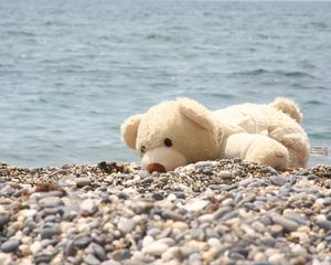 Preview wallpaper soft toy, bear, beach, rocks, sea