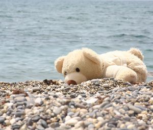 Preview wallpaper soft toy, bear, beach, rocks, sea