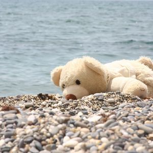 Preview wallpaper soft toy, bear, beach, rocks, sea