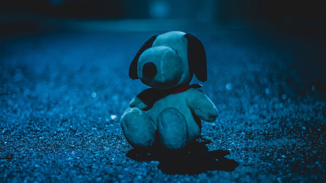 Wallpaper soft toy, toy, dog, shadow