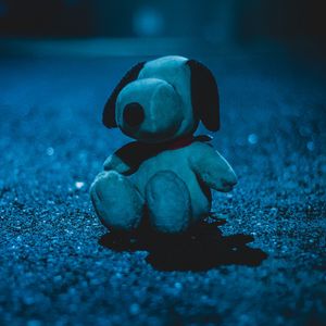 Preview wallpaper soft toy, toy, dog, shadow