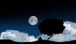 Preview wallpaper solitude, tree, night, clearing, sky, dark