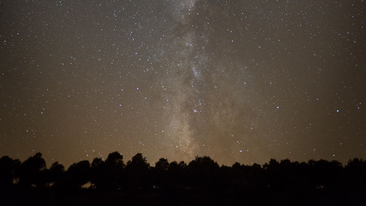 Wallpaper space, starry sky, silhouette, trees