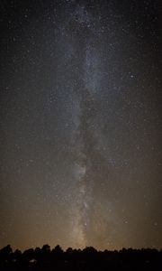 Preview wallpaper space, starry sky, silhouette, trees
