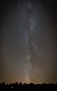 Preview wallpaper space, starry sky, silhouette, trees