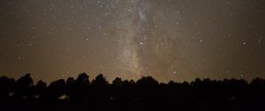 Preview wallpaper space, starry sky, silhouette, trees