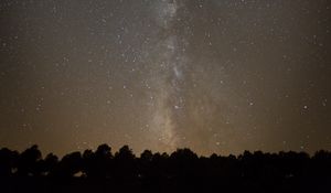 Preview wallpaper space, starry sky, silhouette, trees