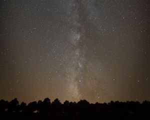 Preview wallpaper space, starry sky, silhouette, trees