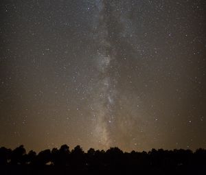 Preview wallpaper space, starry sky, silhouette, trees