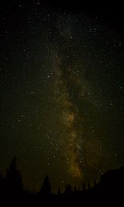 Preview wallpaper space, starry sky, trees