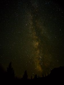 Preview wallpaper space, starry sky, trees