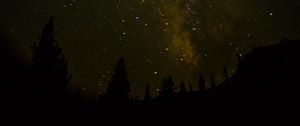 Preview wallpaper space, starry sky, trees