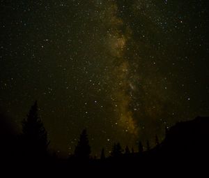 Preview wallpaper space, starry sky, trees