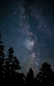 Preview wallpaper space, starry sky, trees, silhouette