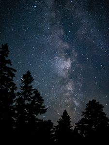 Preview wallpaper space, starry sky, trees, silhouette